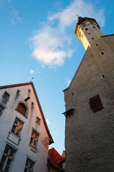 Câmara Municipal Tallinn Direita Edifício Histórico Que Restaurante Olde Hansa — Fotografia de Stock