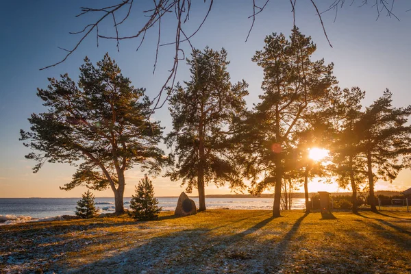 Pôr Sol Costa Lago Peipsi Durante Inverno Estônia Sul Luz Fotos De Bancos De Imagens