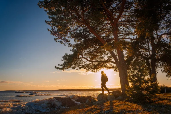 Homem Jovem Ficar Sob Árvore Costa Lago Durante Pôr Sol Imagens De Bancos De Imagens