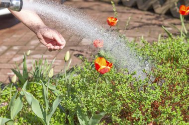 Hortum ile su püskürtme için bir meme Bahçe Sulama için