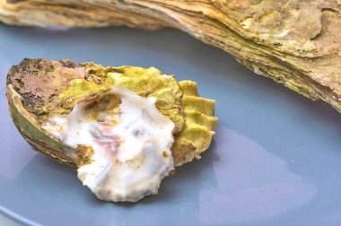 istiridye üzerinden denize yakın çekim