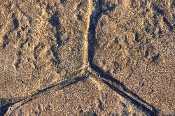 Antigua baldosa de piedra al atardecer sol, fondo y textura — Foto de Stock