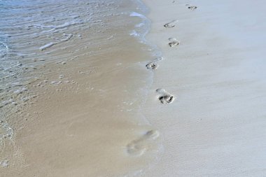 ıslak kum plaj üzerinde ayak izleri