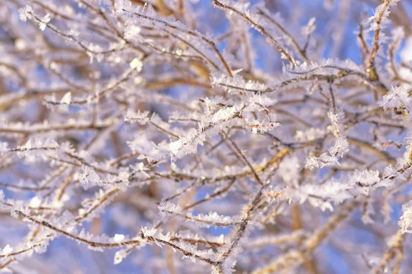 Paisaje Invernal Está Cubierto Nieve Hielo Estación Fría — Foto de Stock