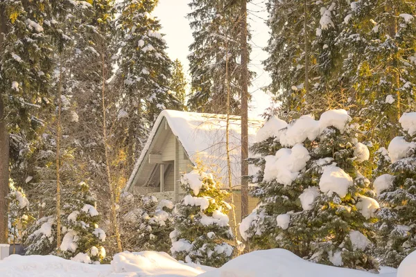 Paisaje Invernal Está Cubierto Nieve Hielo Estación Fría — Foto de Stock