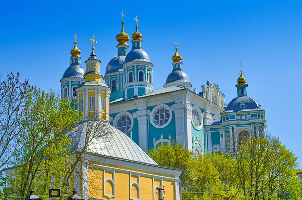 Ragion Della Cattedrale Dell Assunzione Della Beata Vergine Smolensk Russia — Foto Stock