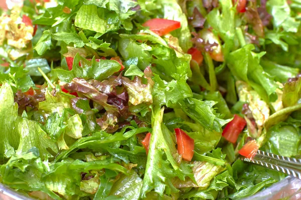 Insalata con verdure e verdi, primo piano — Foto Stock