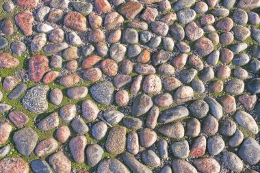 Yeşil yosun cobblestones, eski kaldırım arka plan