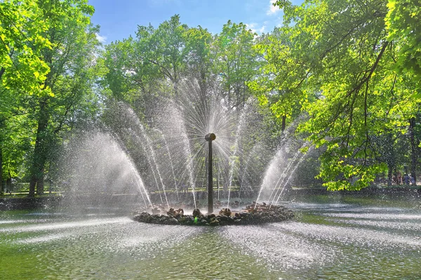 太阳的喷泉。在彼得霍夫的宫殿和公园合奏 — 图库照片