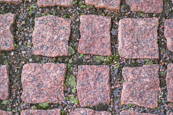 Achtergrond van graniet pleintjes gelegd met groene mos, oude bestrating — Stockfoto