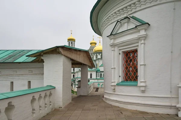 モスクワ州イストラの断片新エルサレム修道院の眺め — ストック写真