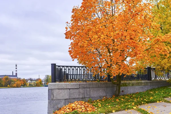 Autumn granite embankment in yellow leaves — Stock Photo, Image