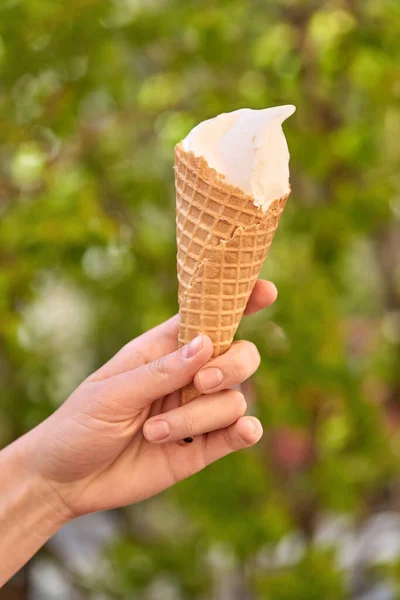 Мороженое Вафельном Рожке Рука Держит Мороженое Фоне Зеленой Листвы Вертикальный — стоковое фото
