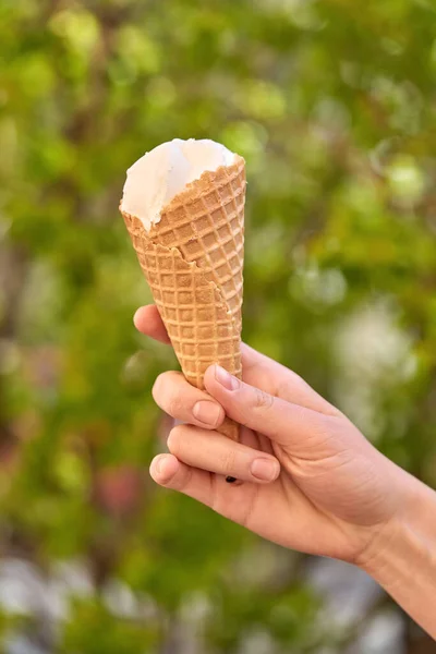 Мороженое Вафельном Рожке Рука Держит Мороженое Фоне Зеленой Листвы Вертикальный — стоковое фото