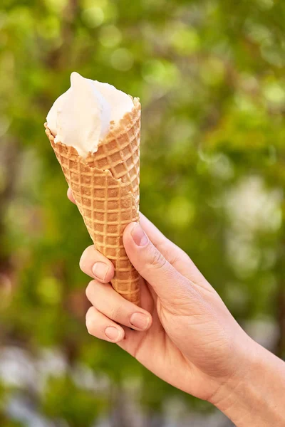 Ice Cream Waffle Cone Hand Holds Ice Cream Background Green Royalty Free Stock Photos