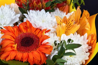 Farklı çiçeklerden bir buket. Çiçek yakın plan, arka plan ve doku. Doğanın parlak renkleri