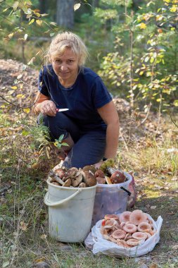 Elinde bıçak olan bir sarışın ormanda mantarların önünde oturuyor.