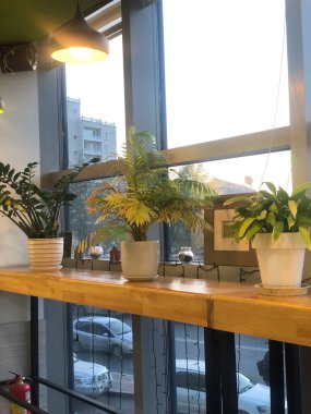 Odada çiçekler var