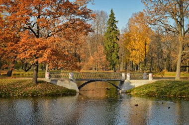 Bir su birikintisi bir banliyö parkta bir köprüde, sonbahar yatay.