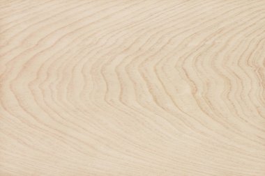 Yüksek çözünürlüklü doğal desenli bir Hollywood yüzeyi. Tahta taneli doku arkaplanı.