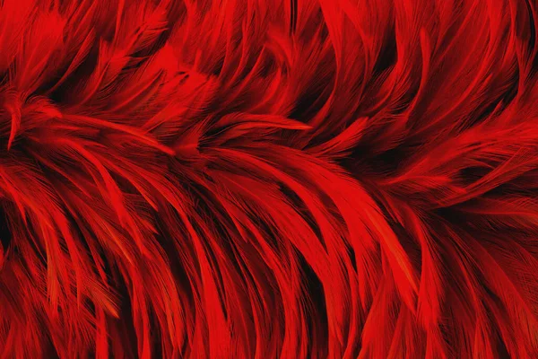 Ciemnoczerwone Pióro Wzór Tekstury Tła Projektowania Prac Artystycznych — Zdjęcie stockowe