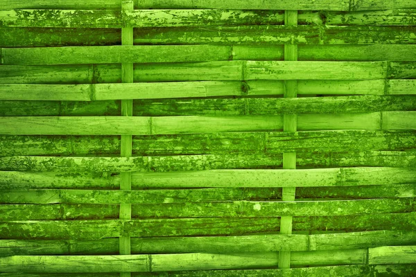 Bela Textura Parede Cerca Bambu Verde Para Trabalho Arte Fundo — Fotografia de Stock