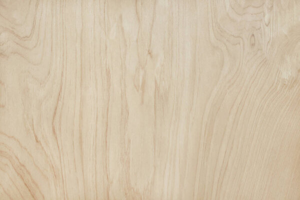 Plywood surface in natural pattern with high resolution. Wooden grained texture background.
