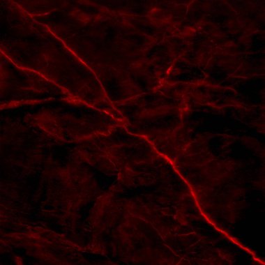 Yüksek çözünürlüklü detaylı yapısı olan koyu kırmızı mermer döşeme. Lüks, pürüzsüz taş döşeme deseni..