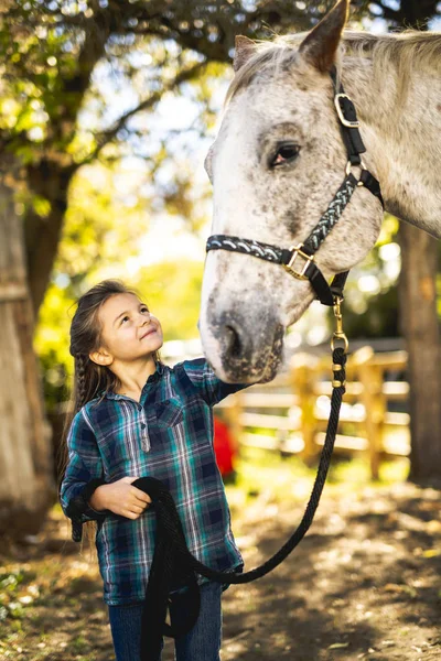В красивом осеннем сезоне молодой девушки и лошади — стоковое фото