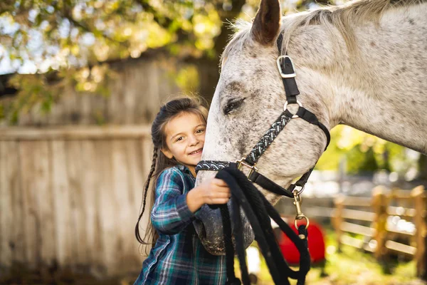 Em uma bela temporada de outono de uma jovem e cavalo — Fotografia de Stock
