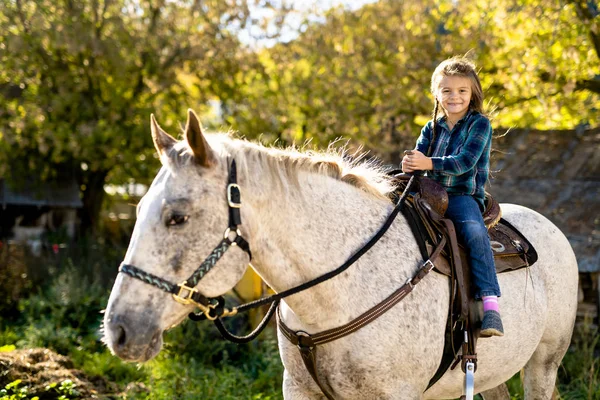 En una hermosa temporada de otoño de una niña y un caballo — Foto de Stock