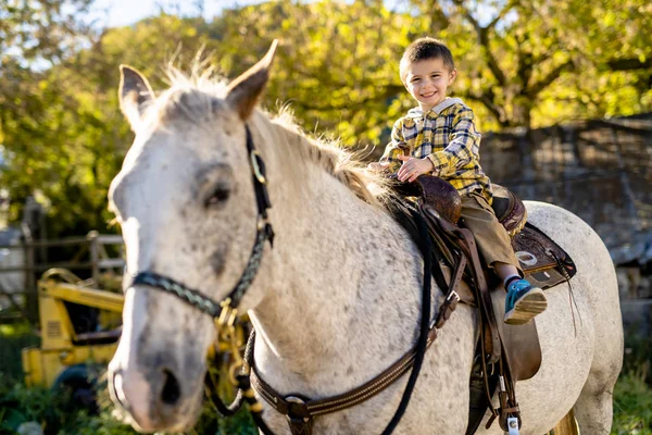 Em uma bela temporada de outono de um menino e cavalo — Fotografia de Stock