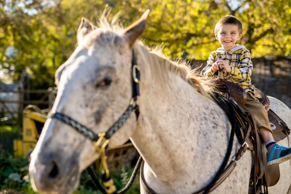 Em uma bela temporada de outono de um menino e cavalo — Fotografia de Stock