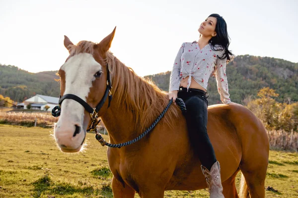 Een vrouw met haar paard bij zonsondergang, herfst buiten scène — Stockfoto