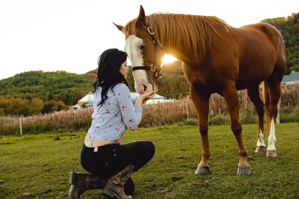 Una mujer con su caballo al atardecer, escena de otoño al aire libre — Foto de Stock