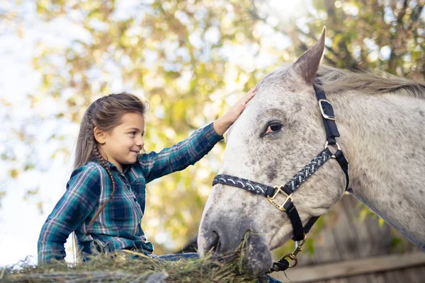 Em uma bela temporada de outono de uma jovem e cavalo — Fotografia de Stock