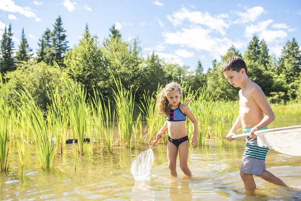 Söt flicka och pojke fiske med nät på en sjö — Stockfoto