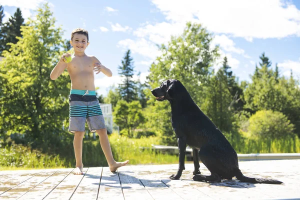 Маленький мальчик играет со своей собакой на берегу озера — стоковое фото