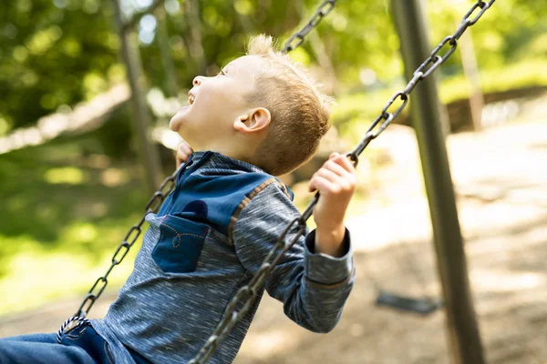 Ett porträtt av glada leende liten pojke på swing — Stockfoto