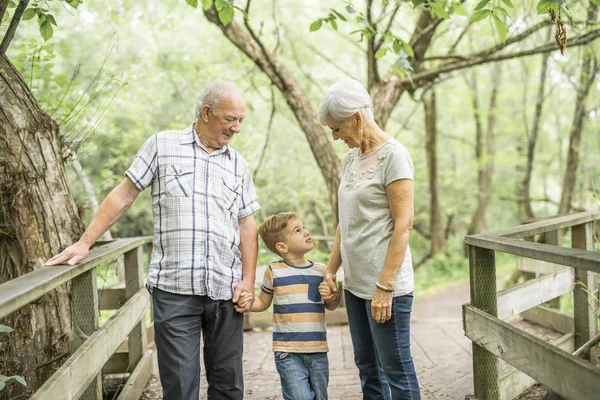Two Grandparents Grandkid Summer Forest — Stock Photo, Image