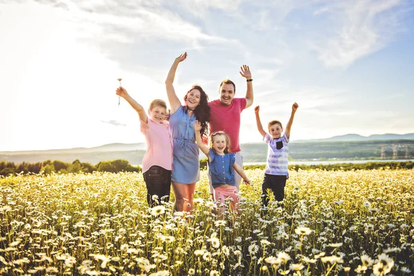 Lycklig familj att ha kul på daisy fältet vid solnedgången — Stockfoto