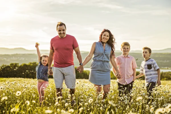 Happy family having fun on daisy field at sunset — Stock Photo, Image
