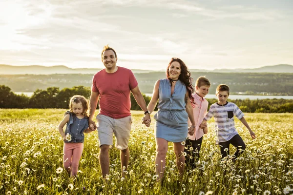 Lycklig Familj Att Kul Fältet Vid Solnedgången — Stockfoto