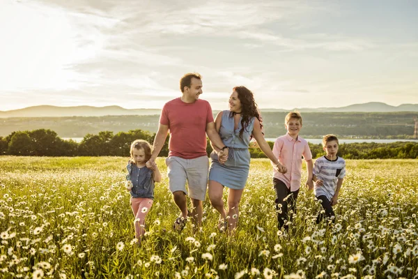 Lycklig familj att ha kul på daisy fältet vid solnedgången — Stockfoto