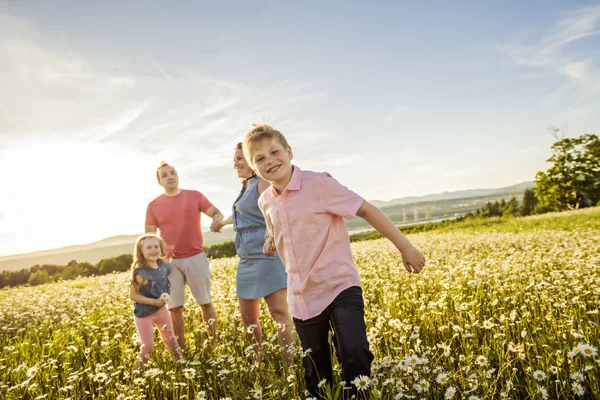 Lycklig familj att ha kul på daisy fältet vid solnedgången — Stockfoto