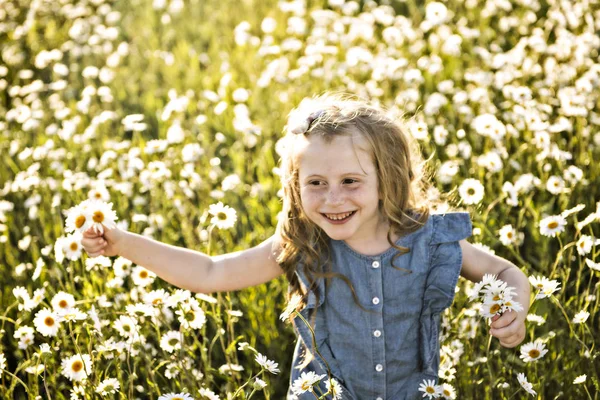 Симпатичная девочка на ромашковом поле — стоковое фото