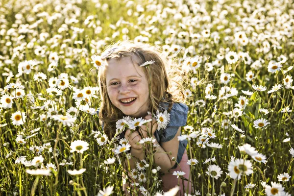 Niedliches Mädchen im Kamillenfeld Gänseblümchen — Stockfoto