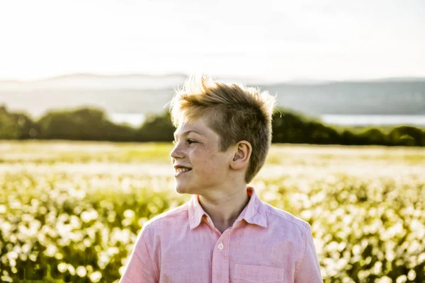 Jongen op weide van madeliefjes bloemen bij de zonsondergang — Stockfoto