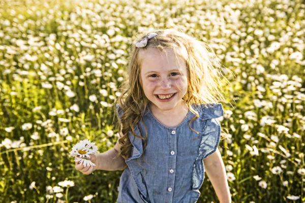 Dziewczyna słodkie dziecko na rumianek stokrotka pola — Zdjęcie stockowe