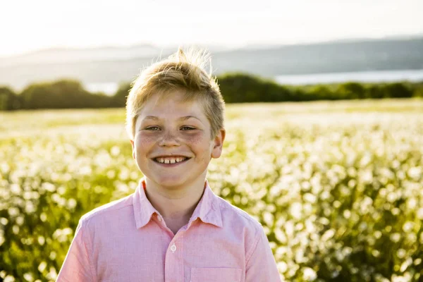 Niño en el prado de margaritas flores al atardecer — Foto de Stock